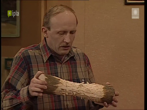 MisterUprzejmości (4).png