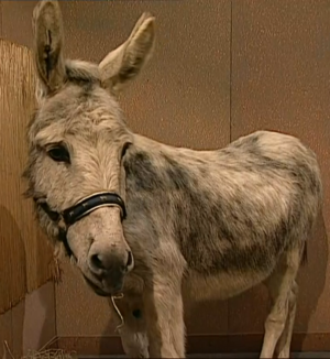 Osioł Azor.png